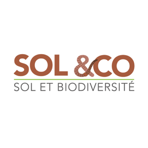 logo-sol&co